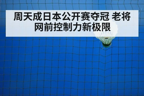 badminton net play